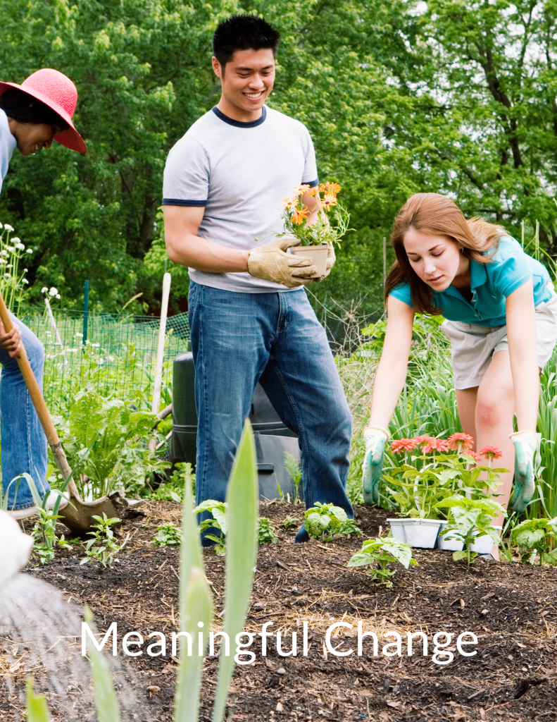 CommunityQuest Meaningful Change